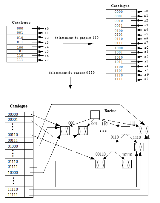 BDD hachage dynamique