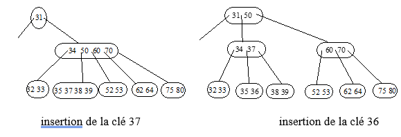 bdd indexation b-tree