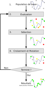 Algorithmes génétiques - Complex systems and AI